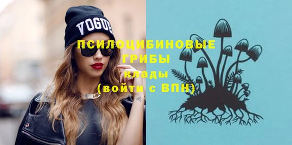 винт Алексеевка