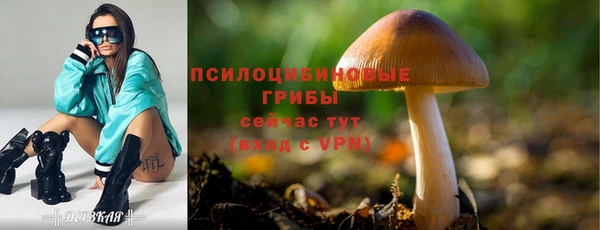 прущая мука Алзамай