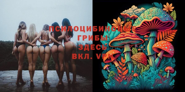 прущая мука Алзамай