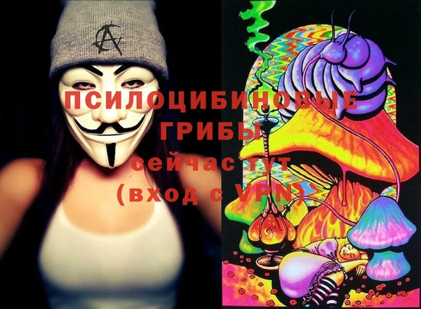винт Алексеевка